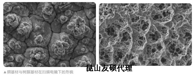 崇左蔡司崇左扫描电镜