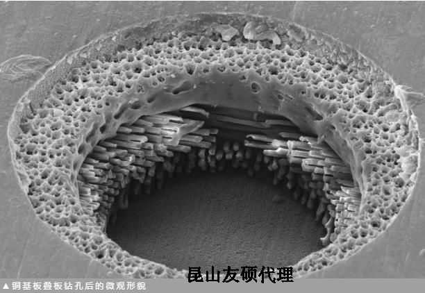 崇左蔡司崇左扫描电镜